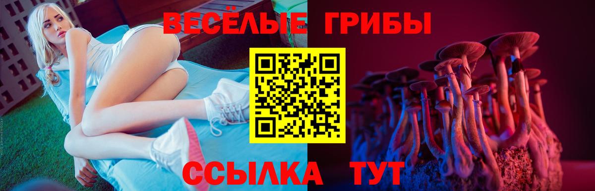 Галлюциногенные грибы прущие грибы  сколько стоит  Батайск  Вход с VPN 